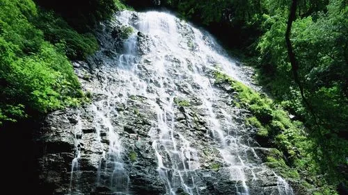 节能精密全自动